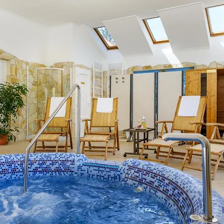 Pensionat Rege - Wellness House *