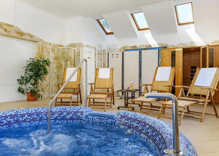 招待所 Rege - Wellness House 4*